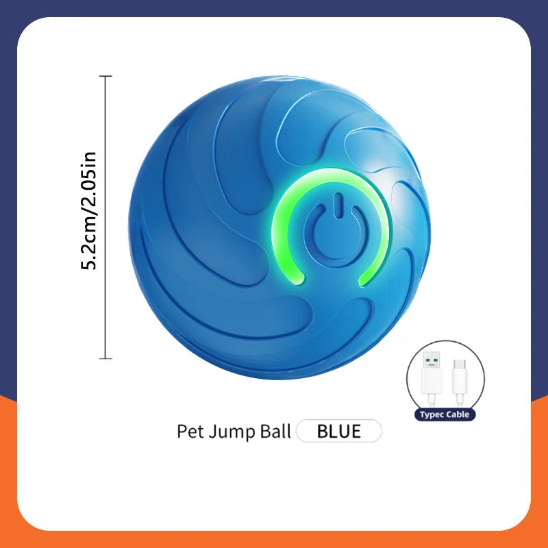 Mon indispensable - Lot d'accessoires pour chien - DogWearFR