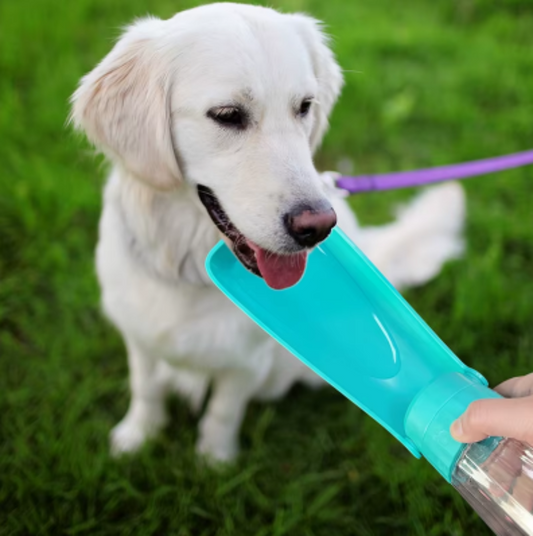 Mon indispensable - Lot d'accessoires pour chien - DogWearFR