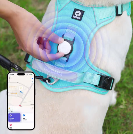 Harnais Anti-Traction – Contrôle, confort et sécurité en promenade - DogWearFR