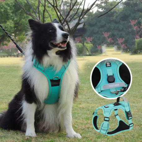 Harnais Anti-Traction – Contrôle, confort et sécurité en promenade - DogWearFR
