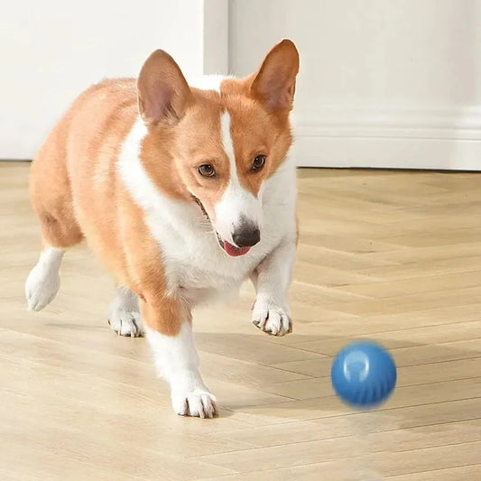 Balle Interactive qui Bouge et Rebondit Automatiquement - Jouet Électronique Intelligent pour Chien - DogWearFR