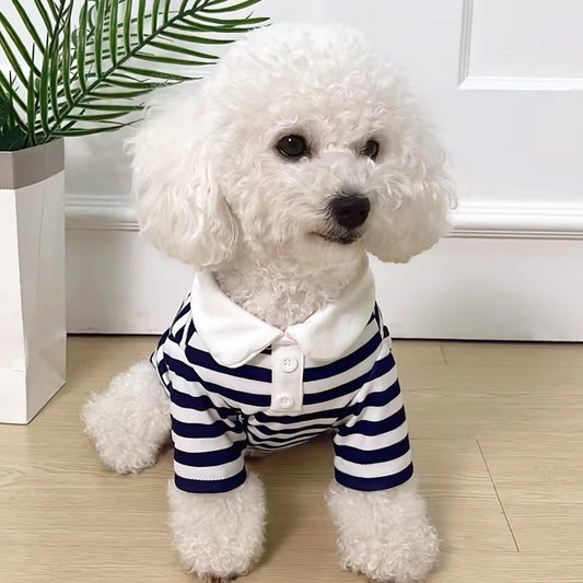 Vêtements pour chiens Teddy York Shire Polo Robe d’été Rayé T-shirt pour animaux de compagnie Costume de chien Pull doVêtements pour chiens Teddy York Shire Polo Robe d'été Rayé T-shirt pour animaux de compagnie Costume de chien Pull doux pour chien Chiot - DogWearFR