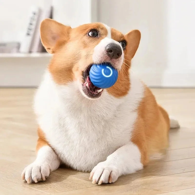 Balle Interactive qui Bouge et Rebondit Automatiquement - Jouet Électronique Intelligent pour Chien - DogWearFR